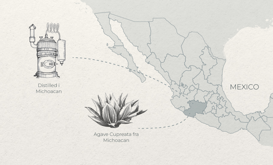 DA Agave Cupreata from Michoacan Distilled in Michoacan-1